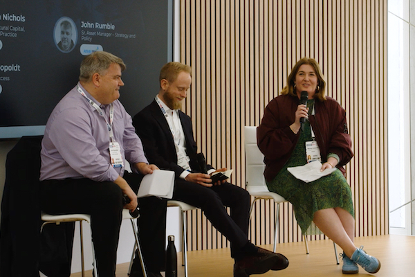 natural capital ukreiif 2024