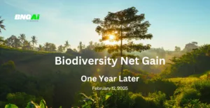 A Year in Biodiversity Net Gain: Reflections on Impact, Challenges and Progress