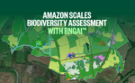 BNGAI™ enables Amazon to scale biodiversity assessment across development sites