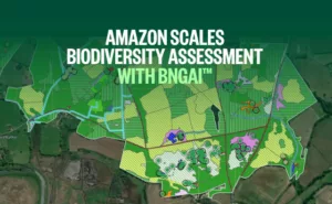 BNGAI™ enables Amazon to scale biodiversity assessment across development sites